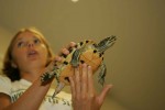 Young_girl_handles_a_turtle