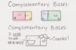 bases-510x340
